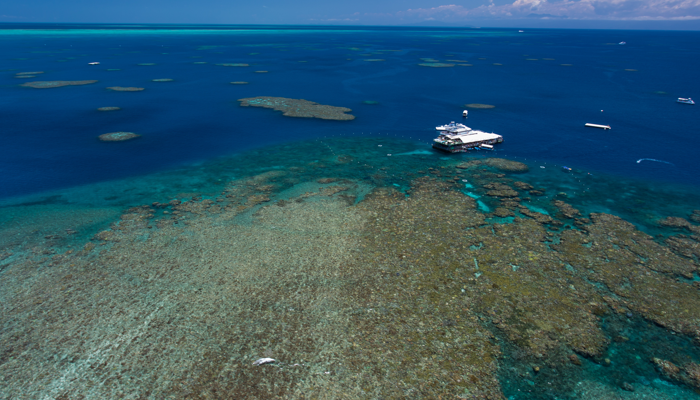 A Grande Barreira de Corais da Austrália, Celebrity Cruises