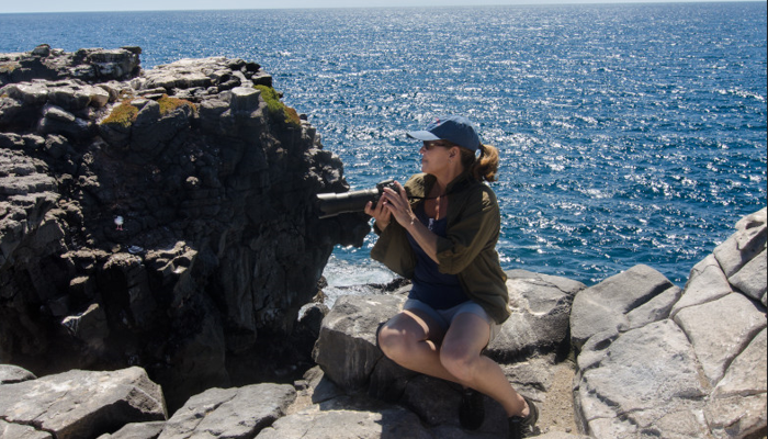 Galápagos, Celebrity Cruises
