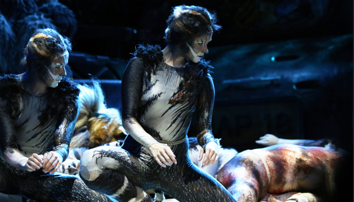 Musical Cats no Oasis of the Seas